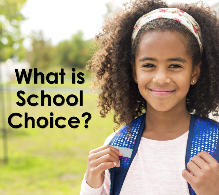 What is School Choice?
